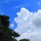 夏、入道雲
