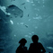 Far away from the sea #4
