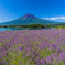 河口湖から