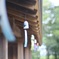 軒先にて