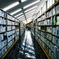 図書館。