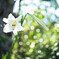 Undecorated beauty