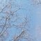 秋空