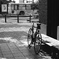 「summer」 (film:HR20)