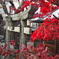 幸神社