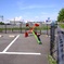 駐車場にイカリが⁉️