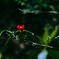 DSC00504
