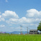 日本の夏