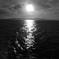 炎天の海
