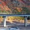 紅葉と鉄橋