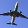 AIR DO