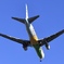AIR DO