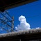 入道雲