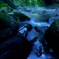 川霧立つ清流