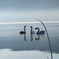 113
