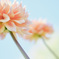 pastel colors