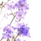 涼やかな窓辺