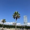 MAKUHARI  BLUESKY BLUE