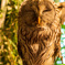 フクロウの森にて
