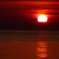 太陽にほえろ！！