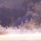 樹氷の中から