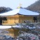 雪朝に輝く