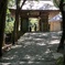 寺巡り