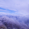 ※蔵出し　姫神山 霧氷と雲海