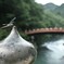 トンボと神橋