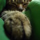 幸せ