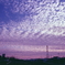 夕暮れのうろこ雲