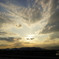 1F3263E6-8AC1-4B69-A3D1-9DA71F990336