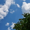 見上げる空
