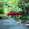 遠州 小國神社の宮川。