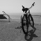 海と自転車