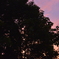 夕景