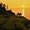 能登散歩⑥(石川)