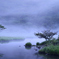 霧の朝