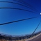 青い空に。