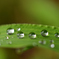 雨あがり