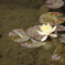 74362F3E-E5C6-4205-BE08-E0178335A77D