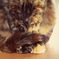 つまみ