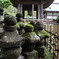 竹のお寺