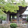 竹のお寺