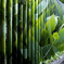 green stripe