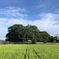 1DBC617F-A8E7-4ABA-952F-FF42DEE98072