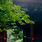 随身門