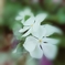 PicsArt_09-02-06.15.01