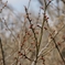 DSC00259