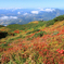 紅葉の蝦夷富士